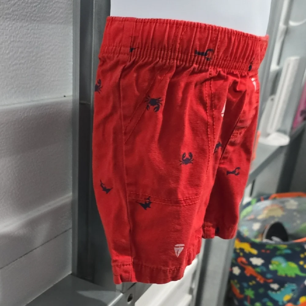 Carter's Red Relaxed Fit Shorts with Embroidered Pattern‎
